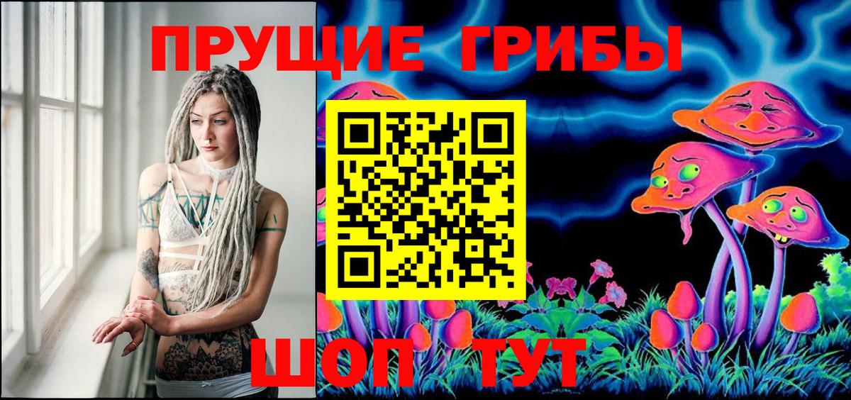 Галлюциногенные грибы Cubensis  Вход с VPN  Татарск 