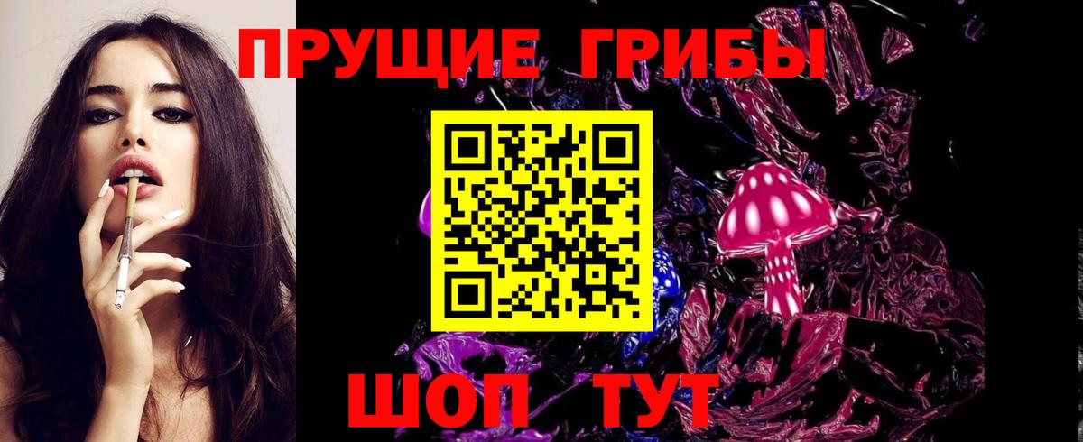 Псилоцибиновые грибы Psilocybine cubensis Татарск